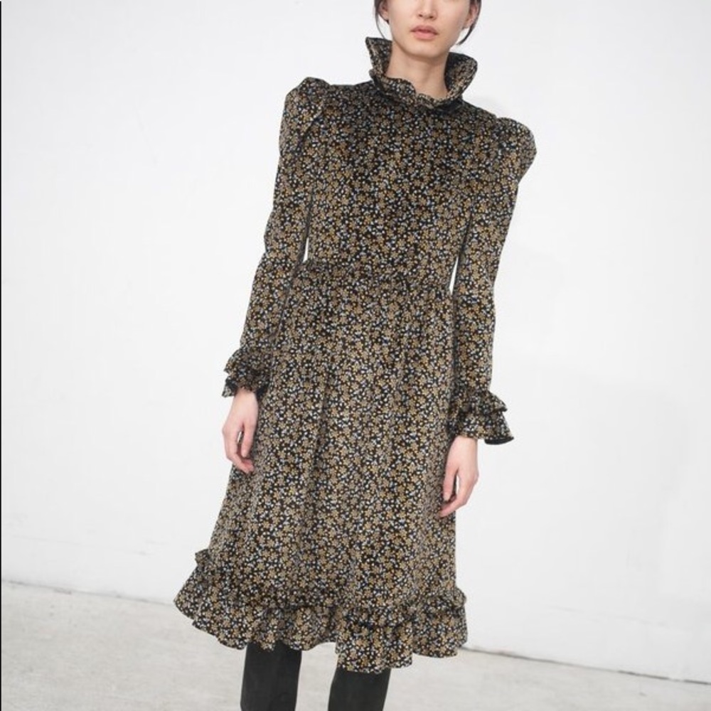 ISO this Bathsheva velvet dress - not for sale!
